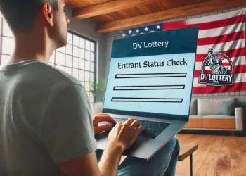 How to Check Your DV Lottery Status & What to Do Next